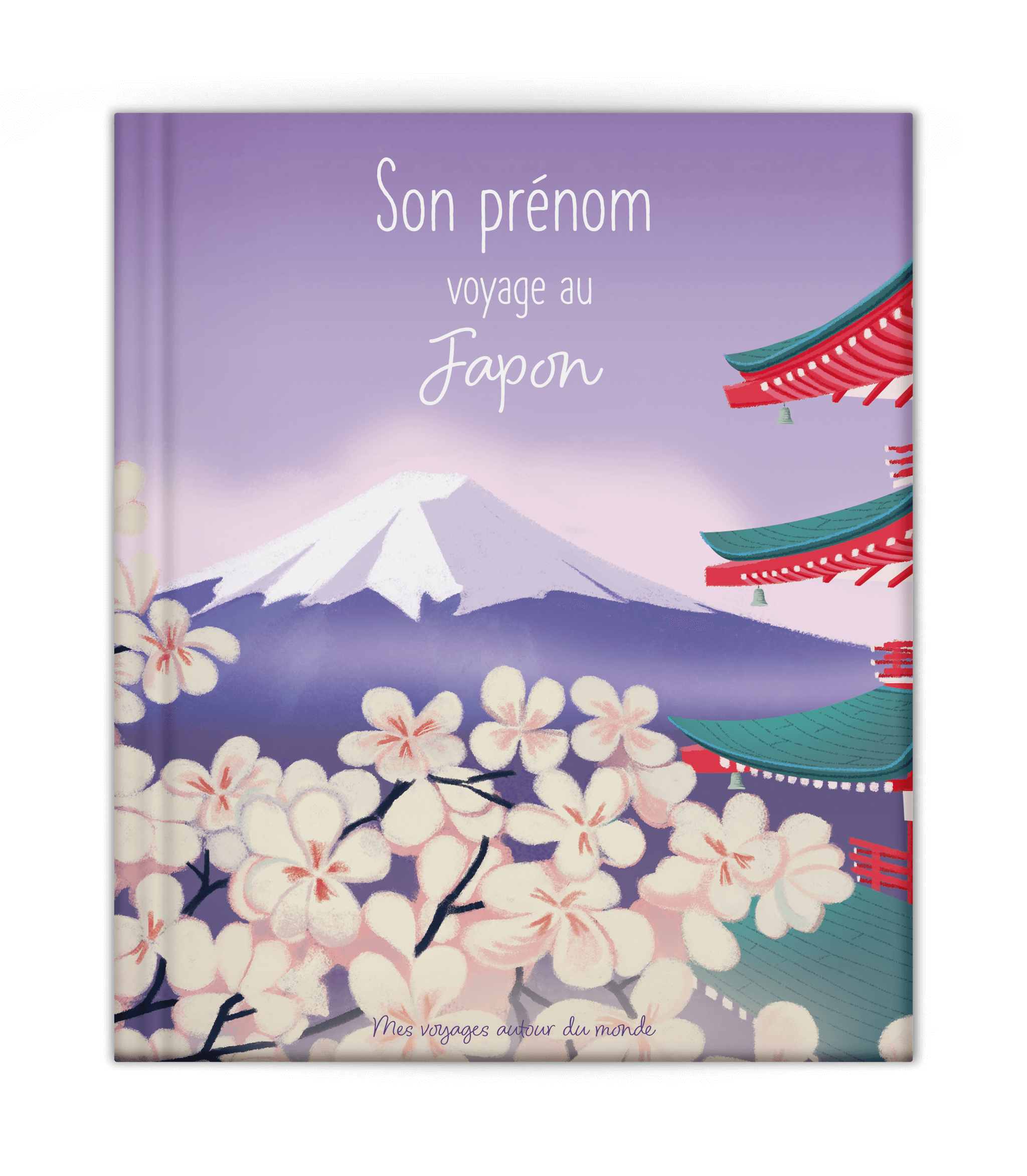 Japon, Carnet de voyage - 15 livres 